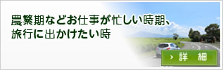 農繁期などお仕事が忙しい時期、旅行に出かけたい時